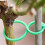 Vegetables Gardening Clip Prevent Drooping Promote Airflows-50 7