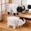 Tragbare Mini-Desktop-Aufbewahrungsbox, transparenter, 2