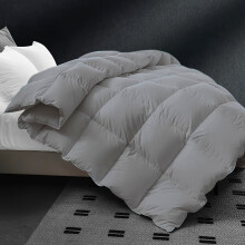 (Light Grey, 173cm*229cm) Ultra-Soft & Breathable - All-Season Warm Comforter with 30 Tabs, Machine