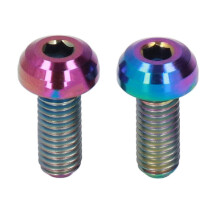 RISK 2Pcs Bicycle Bottle Cage Screws M5x12mm Water Bottle Cage Bolts Cycling Bottle Cage Screws for Fixing Gas Cylinder Seat
