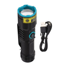 365 nm Schwarzlicht-Taschenlampe, zoombar, Typ C, wiederaufladbar, Gehäuse aus Aluminiumlegierung, tragbare LED-Taschenlampe für Haustierurin