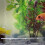 Aquarium Fish Tank Air Vent Bubble Release Bar Diffuser Plastic Made Transparent Color 3