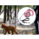Pet Retractable Leash Automatic Extending Pet Walking Leads, Length: 3m(pink) 1
