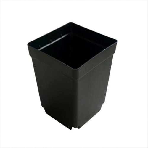 100PCS Plant Flower Pot Small Black Square Cutting Seedling Plastic Square Pot