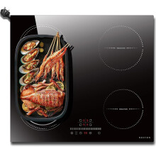 NOXTON Plug in Induction Hob 60 cm Flex
