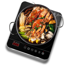 AAOBOSI Aobosi Single Induction Hob,Portable Induction Cooker,Fashion