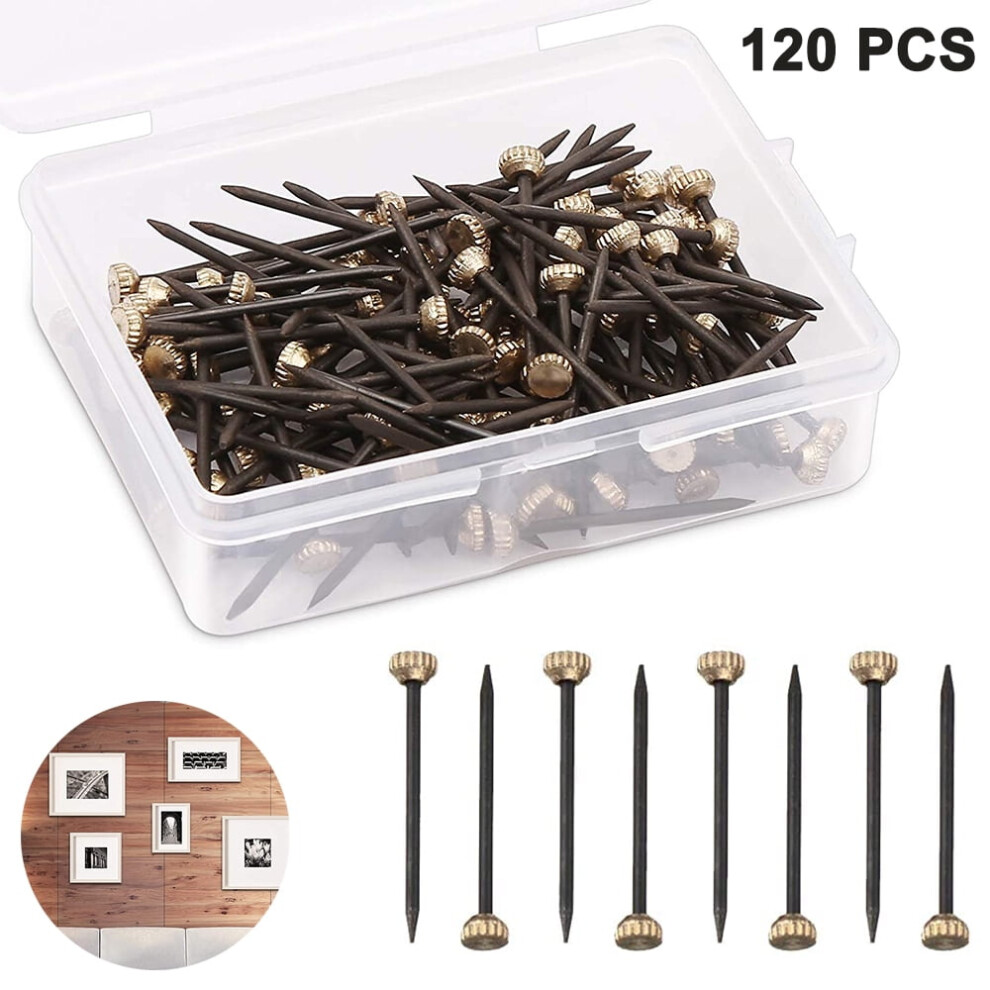 Picture Hanging Nails For Plaster Walls 120 Pcs With 963904286720