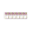 Lucia - Guest Soap Gift Box 6 Bars-Wind Ginger & Fresh Fig 1