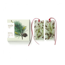 Douglas Pine - Scented Wax Tablets 2x