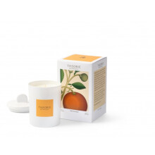 Theorie Botanique Candle 50 hours - HONEY ORANGE