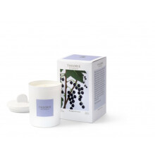 Theorie Botanique Candle 50 hours - BUDLING OF CASSIS