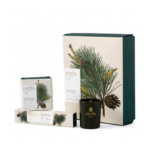 Douglas Pine - Gift Set (Votive 20hrs)
