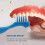 12 Pack Denture Brush Hard Denture Cleaning Brush False Teeth Brush Toothbrush 5