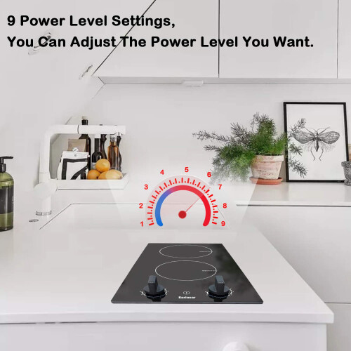 Induction Hob (2 Zones) 2