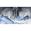 Indesit Indesit BDE 86436 WV UK Washer Dryer - 6