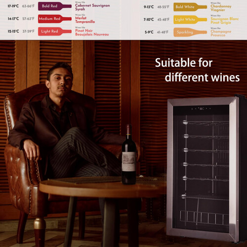 Techomey Wine Cooler Fridge, 33 Bottles, Wine Fridge 1