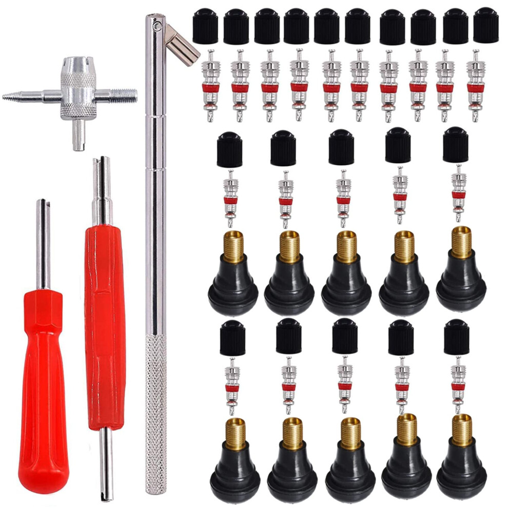 Runcci-Yun Tire Valve Stem Puller Tools Set,44 Pcs Tyre Valve Repair Tool Kit With Dual Single Head Valve Core Remover, Tr412 Snap-In Valve Stems And 70804959