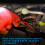 ZKTOOL 20MM Insulated Inspection Mirror Set 6