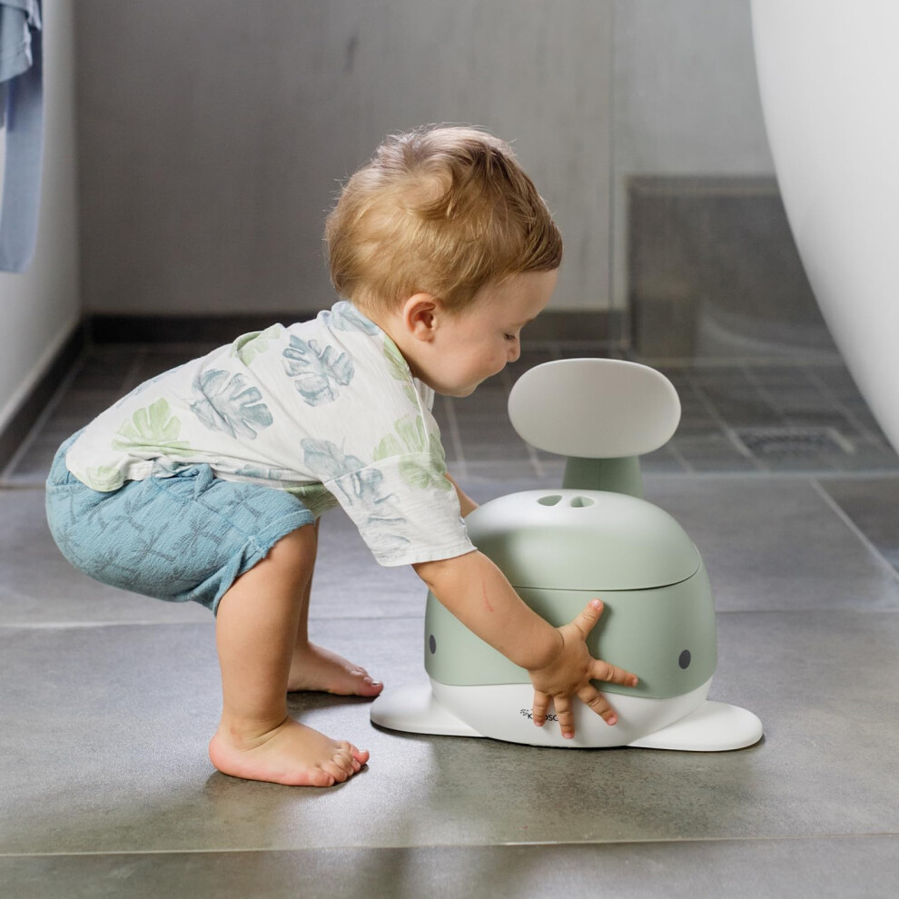 Kindsgut Potty Training Toilet In Whale Design Potty Training In A Bea
