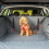 KONG KONG Ultimate Boot/Cargo Liner & 4