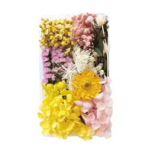 Gör-det-själv-kit med torkade blommor – Naturpressade blommor för hantverk