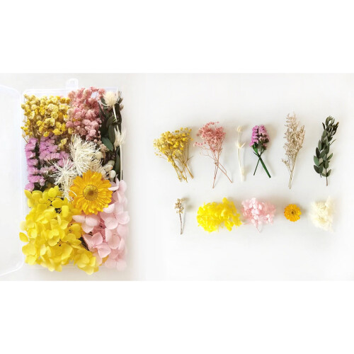 Real Dried Flowers Mixed Colors Natural Pressed 100g 1