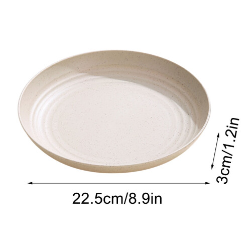 9" Food-Grade Reusable Plastic Dinner Plates 2