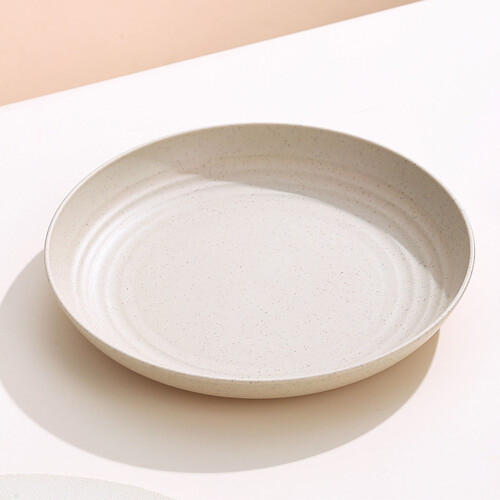 9" Food-Grade Reusable Plastic Dinner Plates 1