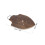 Brown Solid Wood Wall Planter for Ferns Orchid Mount Indoor 2