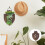 Brown Solid Wood Wall Planter for Ferns Orchid Mount Indoor 7