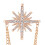 4Pcs Sophisticated Lapel Pins For-Silver Star longtassel 7