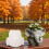 Reusable Silicone Elephant Planter Mold Suitable for Handmade 4