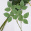 50Pièces Rameaux Floraux Vertes Pour Mariages DIY 3