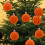 Velvet Christmas Balls Orange 12pcs 4