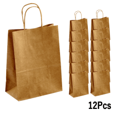 Kraft Paper Gift Bags with Handles 12 Pcs