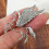 Modische Charm-Brosche, Brosche mit fliegendem Pferd,-Silber 4