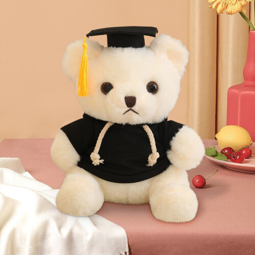 Graduation Bear Doll Soft Plush 23cm