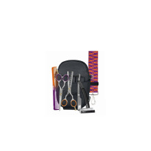 JAGUAR Basic Set THE STAGE IS YOURS Ergo 8393