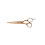 Jaguar Jaguar Gold Line Passionate 5,5 Zoll 28155-1 1