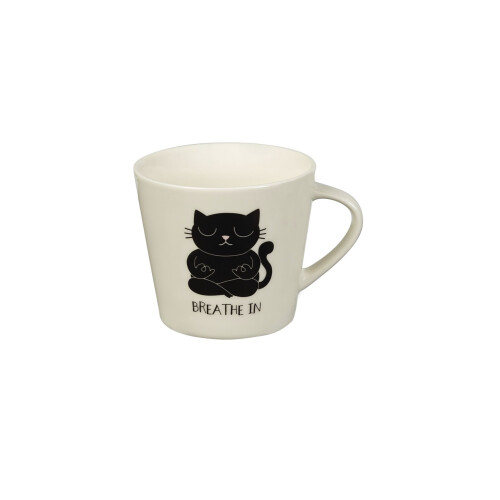 Ed, the Cat Becher Yoga