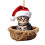 Weihnachtsschmuck: Graue getigerte Katze mit Hut 1