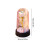 Light-Up Preserved Rose in Glass Dome – 1 Pack 3