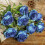 12pcs Artificial Silk Roses - Gradient Blue, 50cm Stem 2