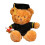 Graduation Bear Plush 14" with Gown Cap Diploma 1