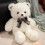 Urso de Pelúcia com Gravata Borboleta Marrom e Branco 35 cm (13,78 polegadas) Ecológico 6