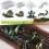Silikon-Tierharz-Formen-Set (4er-Set) 4