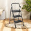 3-Step Folding Ladder, Black Metal, 800 lb Capacity 1
