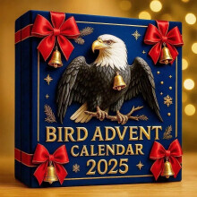 Adventskalender met vogelmotief voor 2025, inclusief 24 acryl hangende ornamenten.