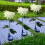 Solar-Chrysanthemen-Gartenleuchten, LED-Außenleuchten, 12er-Pack 4