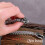 Viking slangearmbånd i rustfrit stål til mænd 5